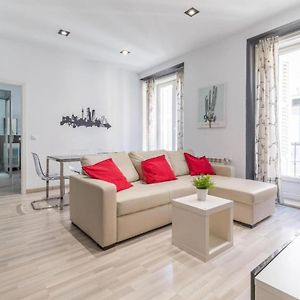 Spacious flat puerta del sol